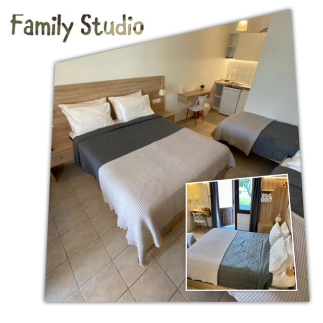 Villa Dafni Studios Limenas  Esterno foto
