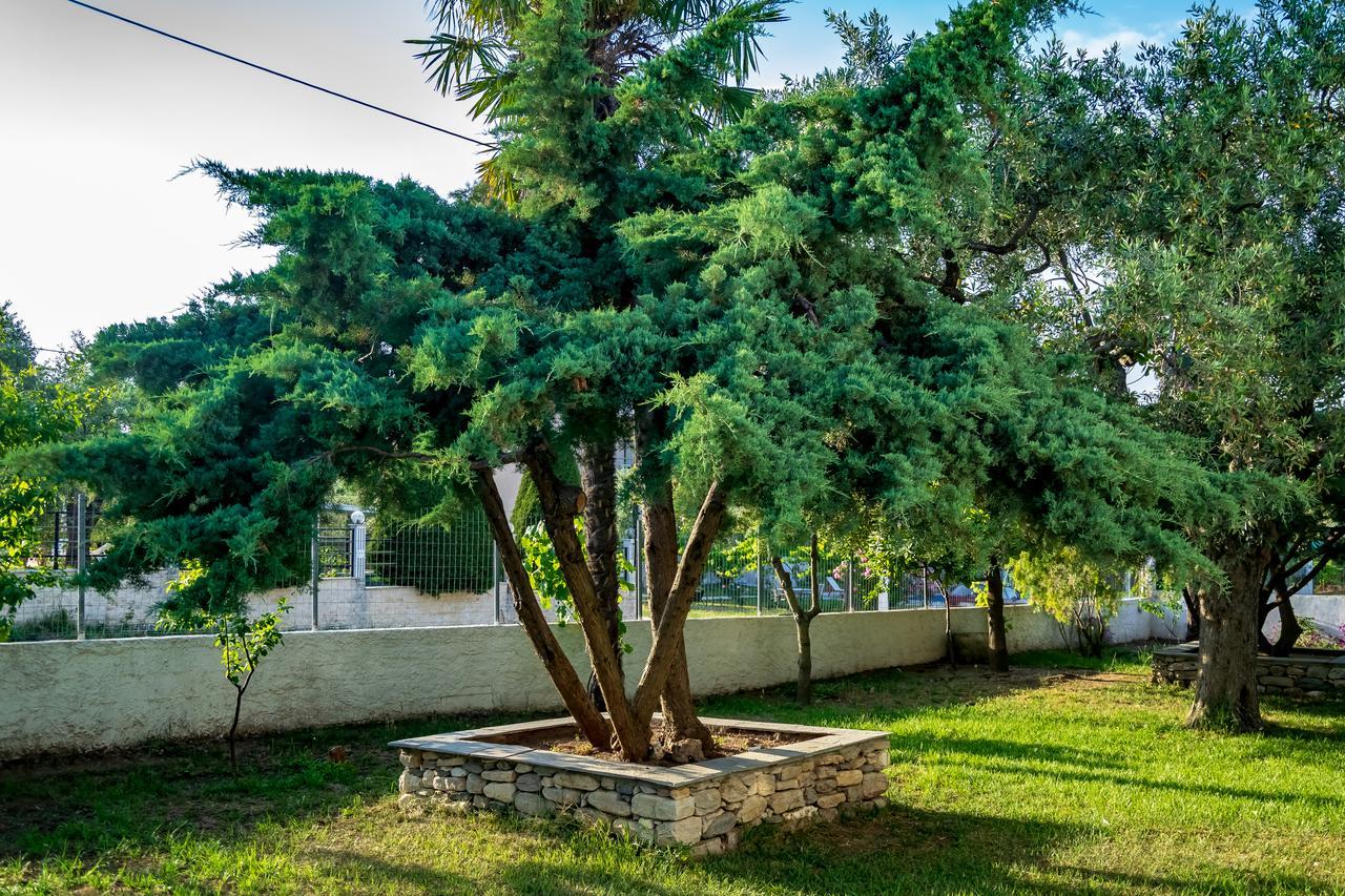 Villa Dafni Studios Limenas  Esterno foto